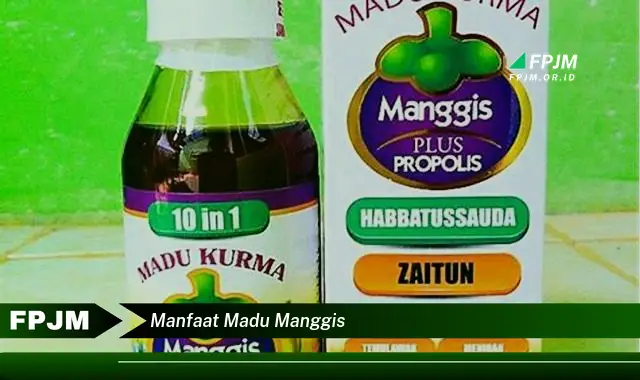 manfaat madu manggis