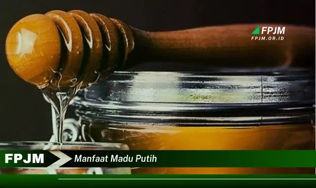 manfaat madu putih manfaat madu putih