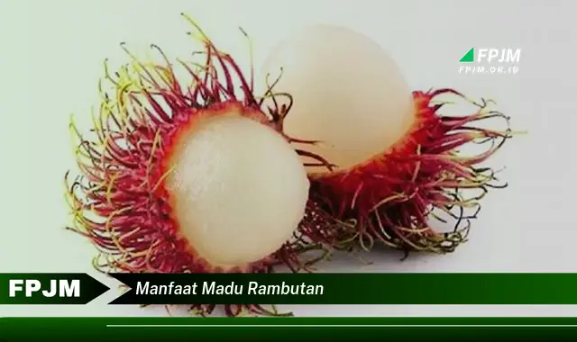 manfaat madu rambutan