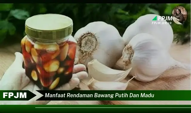 manfaat rendaman bawang putih dan madu