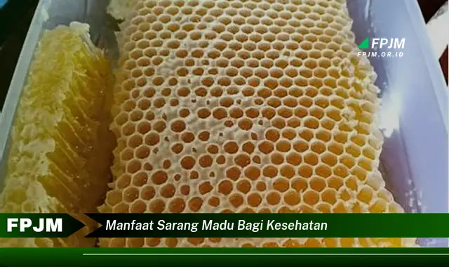 manfaat sarang madu bagi kesehatan