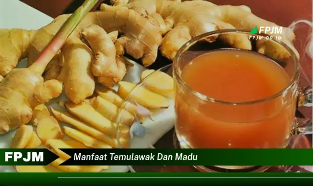 manfaat temulawak dan madu