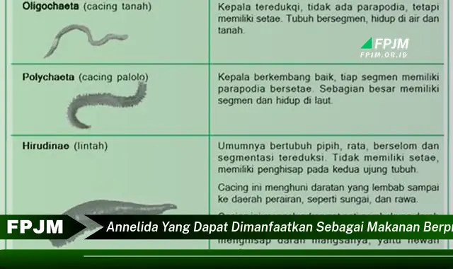 annelida yang dapat dimanfaatkan sebagai makanan berprotein tinggi adalah