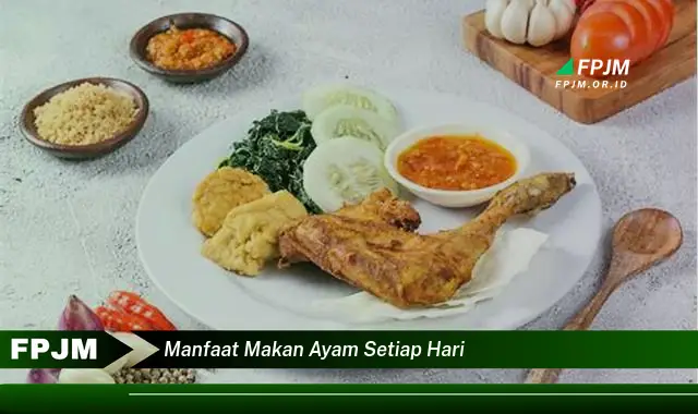manfaat makan ayam setiap hari manfaat makan ayam setiap hari