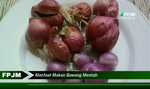 manfaat makan bawang mentah manfaat makan bawang mentah