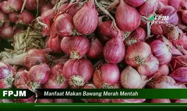 manfaat makan bawang merah mentah manfaat makan bawang merah mentah