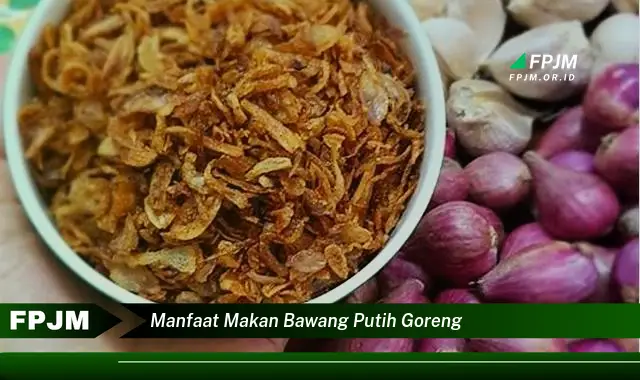 manfaat makan bawang putih goreng manfaat makan bawang putih goreng