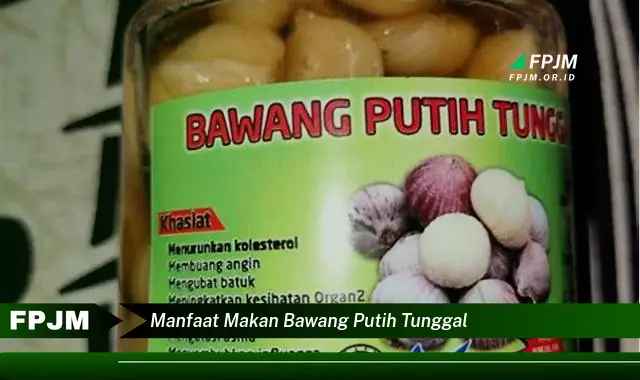 manfaat makan bawang putih tunggal