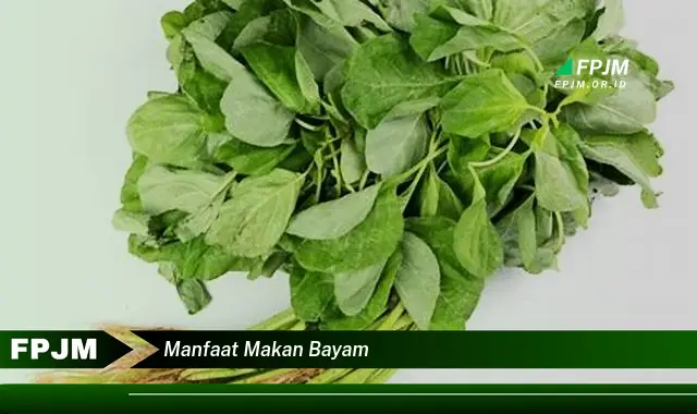 manfaat makan bayam