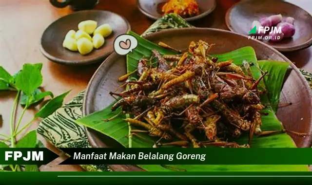 manfaat makan belalang goreng manfaat makan belalang goreng