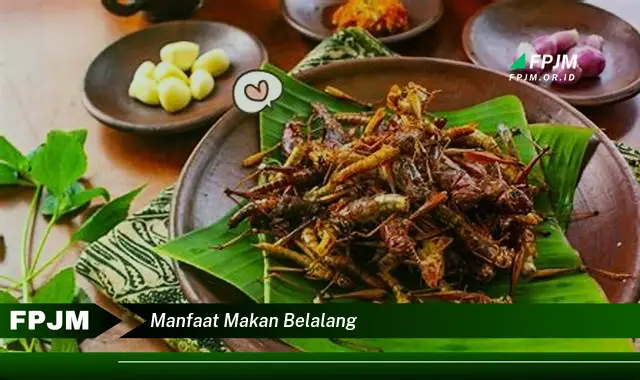 manfaat makan belalang