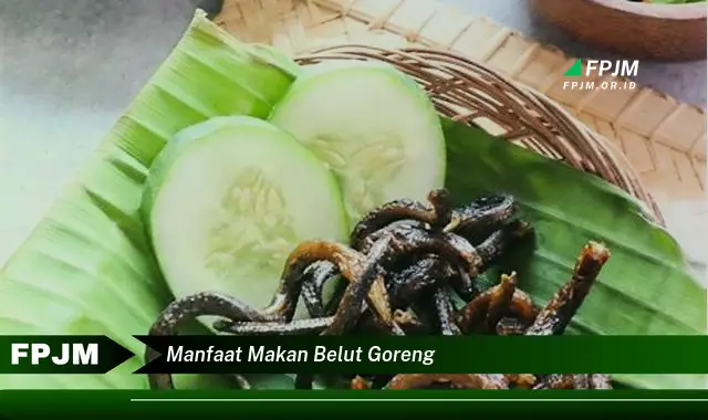 manfaat makan belut goreng manfaat makan belut goreng