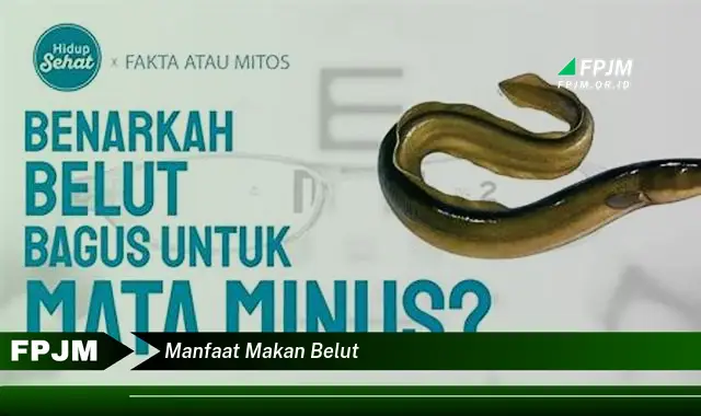 manfaat makan belut