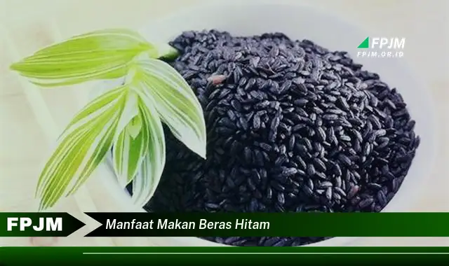 manfaat makan beras hitam manfaat makan beras hitam