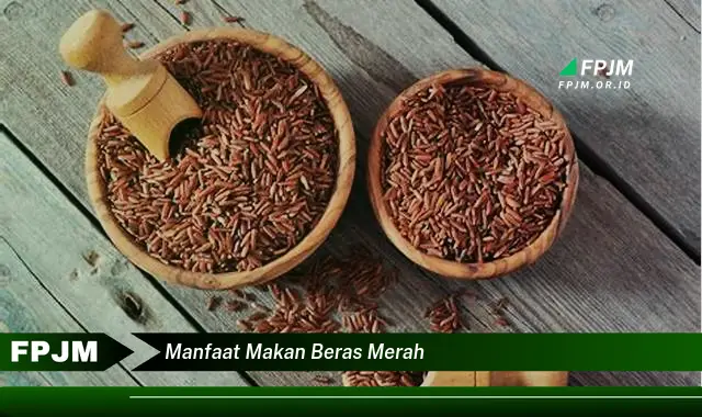 manfaat makan beras merah