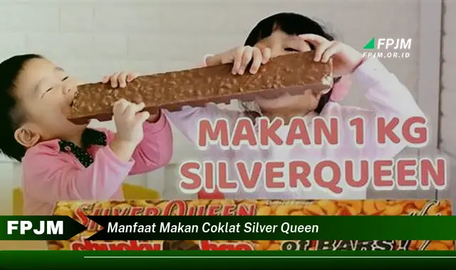 manfaat makan coklat silver queen