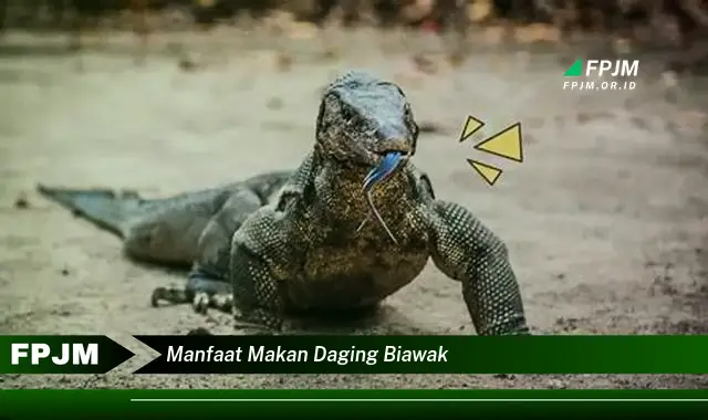 manfaat makan daging biawak