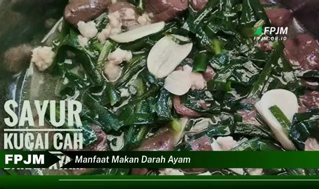 manfaat makan darah ayam
