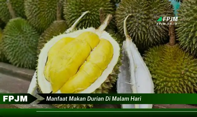 manfaat makan durian di malam hari manfaat makan durian di malam hari