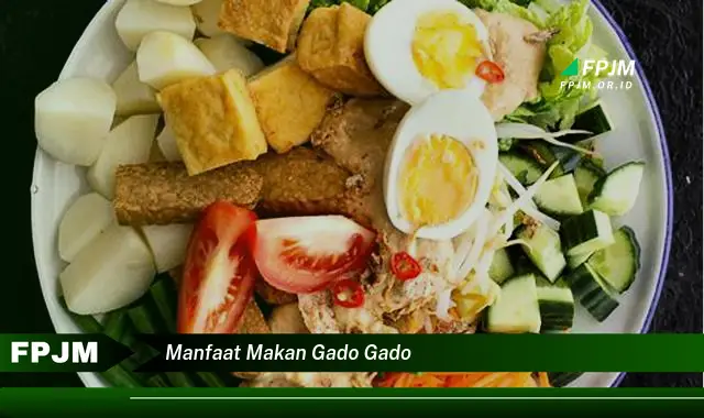 manfaat makan gado gado manfaat makan gado gado