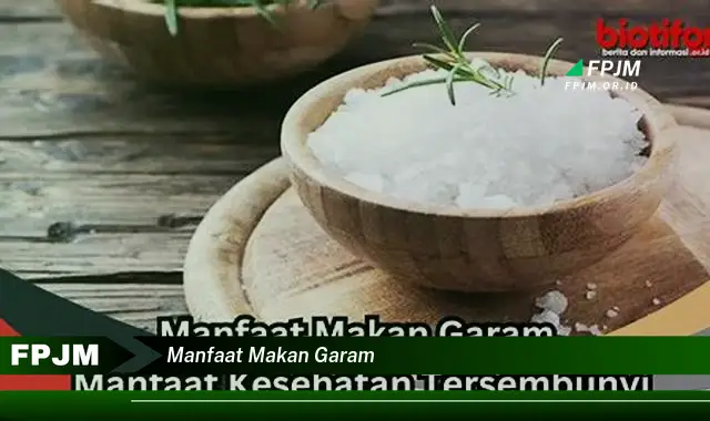 manfaat makan garam