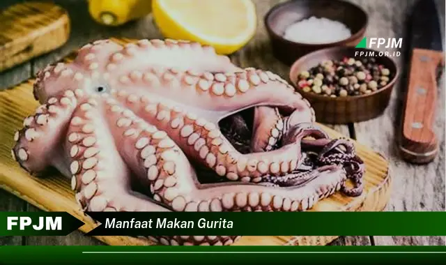 manfaat makan gurita manfaat makan gurita