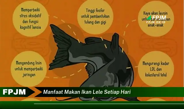 manfaat makan ikan lele setiap hari manfaat makan ikan lele setiap hari