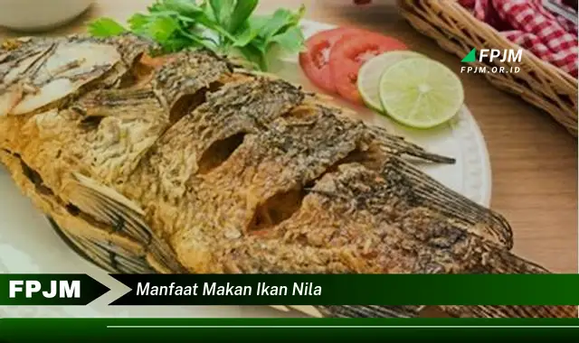 manfaat makan ikan nila