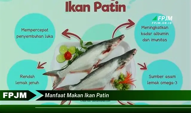 manfaat makan ikan patin
