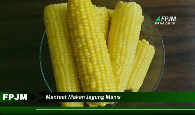 manfaat makan jagung manis