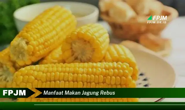manfaat makan jagung rebus manfaat makan jagung rebus