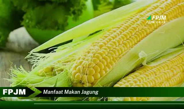 manfaat makan jagung manfaat makan jagung