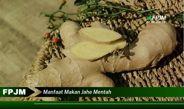 manfaat makan jahe mentah manfaat makan jahe mentah