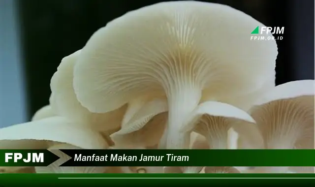 manfaat makan jamur tiram