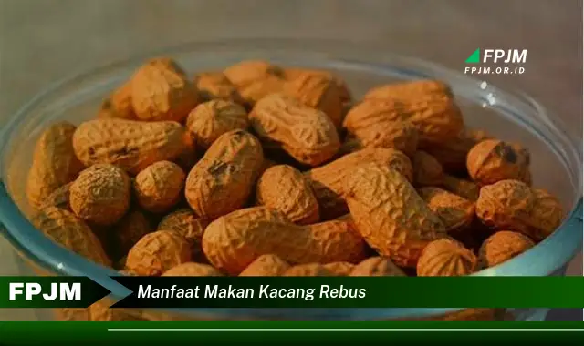 manfaat makan kacang rebus manfaat makan kacang rebus