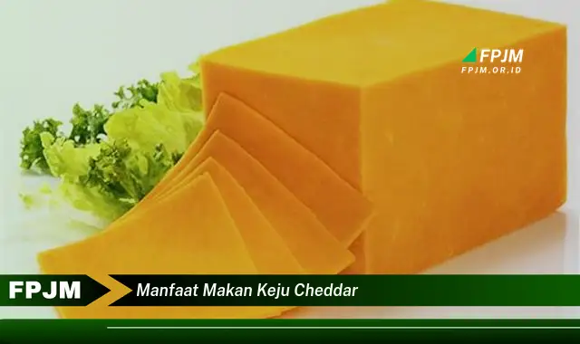 manfaat makan keju cheddar