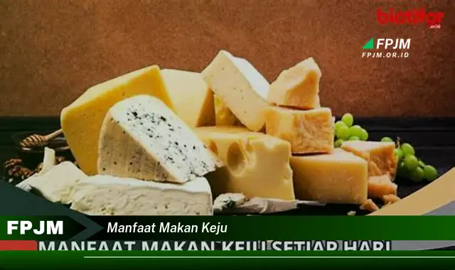 manfaat makan keju