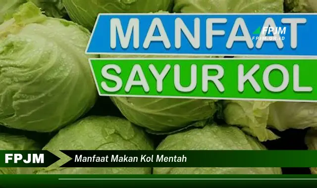 manfaat makan kol mentah