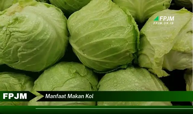 manfaat makan kol