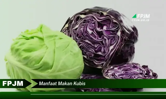manfaat makan kubis manfaat makan kubis