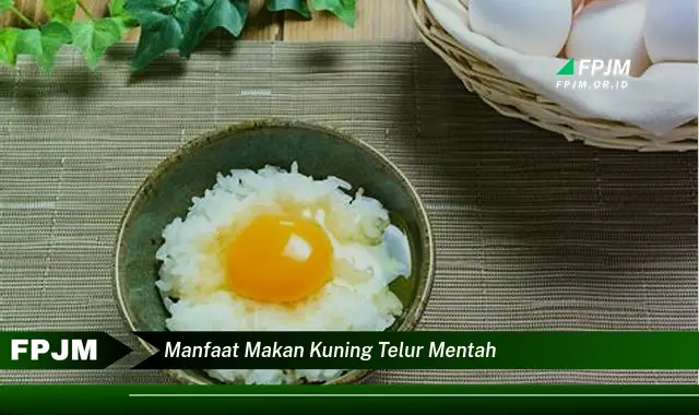 manfaat makan kuning telur mentah