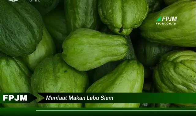 manfaat makan labu siam