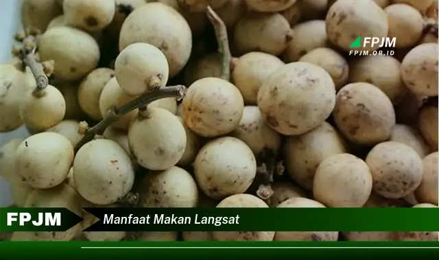 manfaat makan langsat