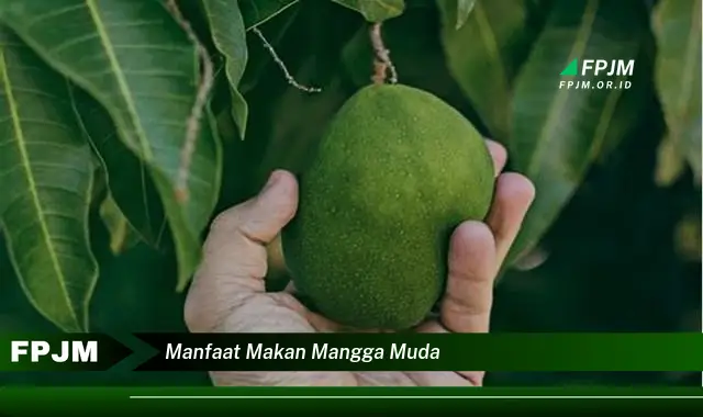 manfaat makan mangga muda