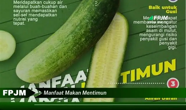 manfaat makan mentimun manfaat makan mentimun
