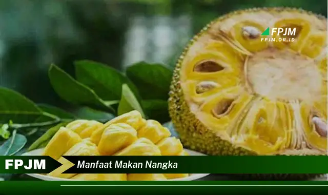 manfaat makan nangka manfaat makan nangka