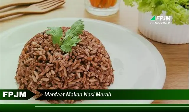 manfaat makan nasi merah