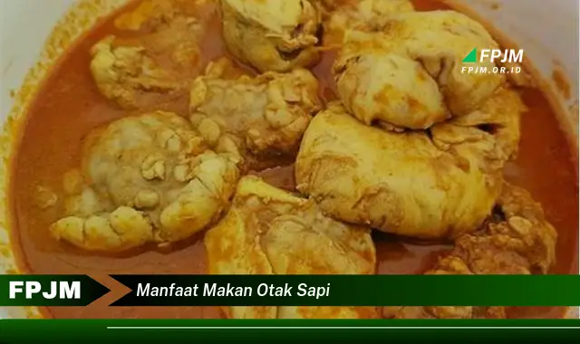 manfaat makan otak sapi