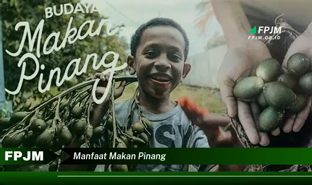 manfaat makan pinang manfaat makan pinang