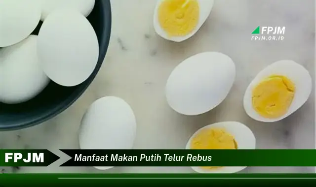 manfaat makan putih telur rebus manfaat makan putih telur rebus